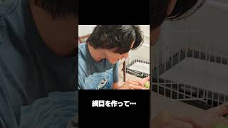 スタッフにメロンパンをふるまうスタンミ #shorts