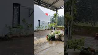 Download lagu BASAH KUYUP mp3