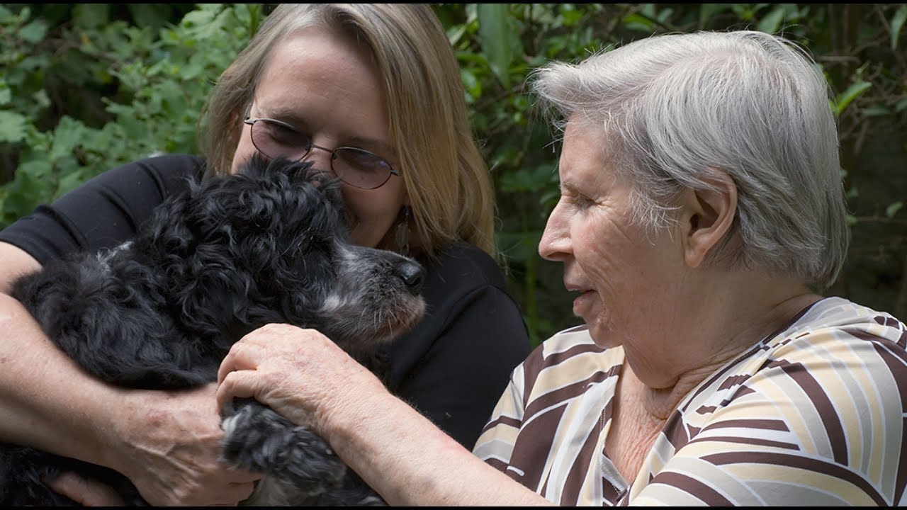 Distraction and Redirection