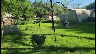 FEED GARDEN Adjustable Double Shepherds Hook for Outdoor with 5 Prong Base 76 Inch Heavy Duty Two Si