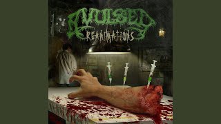 Unconscious Pleasure (2006 Re-Dissection)