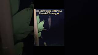 Download lagu Do NOT Mess With The Dreaded Pocong ☠️ #scary mp3