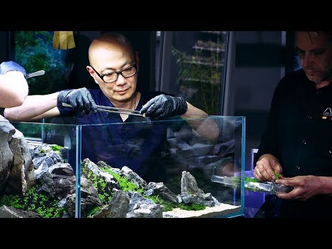 PLANTED TANK LEGENDS - IAPLC GRAND PRIZE WINNER DAVE CHOW 360 VIEW WORKSHOP