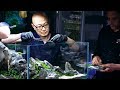 PLANTED TANK LEGENDS - IAPLC GRAND PRIZE WINNER DAVE CHOW 360 VIEW WORKSHOP PLANTED TANK LEGENDS - IAPLC GRAND PRIZE WINNER DAVE CHOW 360 VIEW WORKSHOP