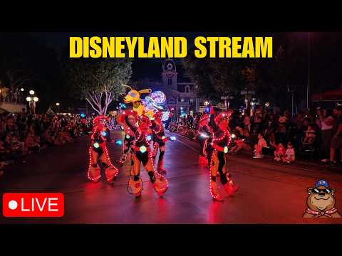 Live webcam of Koda Bear the Explorer 