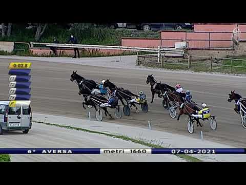 Aversa trotto 7 Aprile 2021 - 7° Corsa