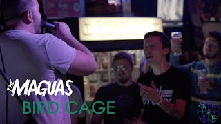 Bird Cage Music Video