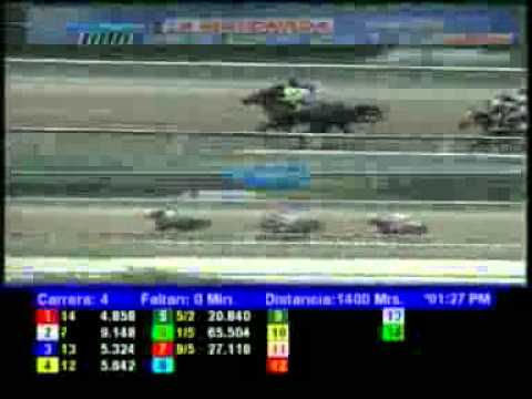 4TA CARRERA DOMINGO 29 ABRIL LA RINCONADA AUDIOHIPISMO