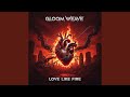 LOVE LIKE FIRE