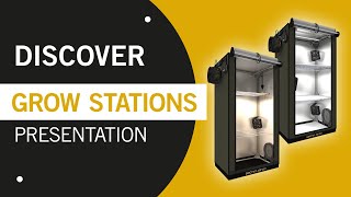 Secret Jardin FS100 For Twenty 60x40x116 cm