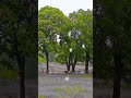 Kabhi Mausam Shortsvideo By Abhijeet Bhattacharya