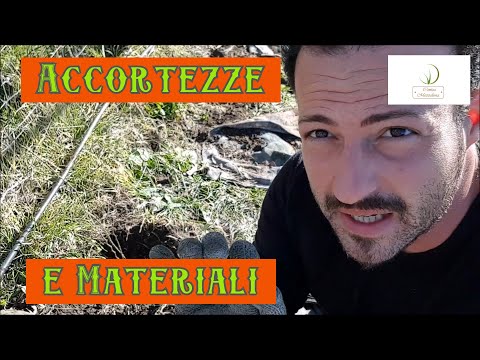 Come Piantare Alberi e Arbusti in Clima Arido