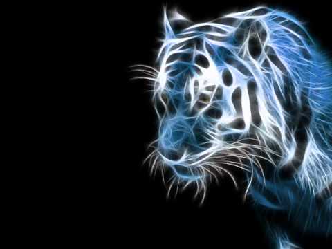 Braniac Vs. Burn In Noise - The Healer