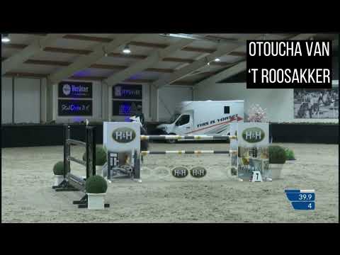 2nd dam Otoucha van 't Roosakker - 1.45 level