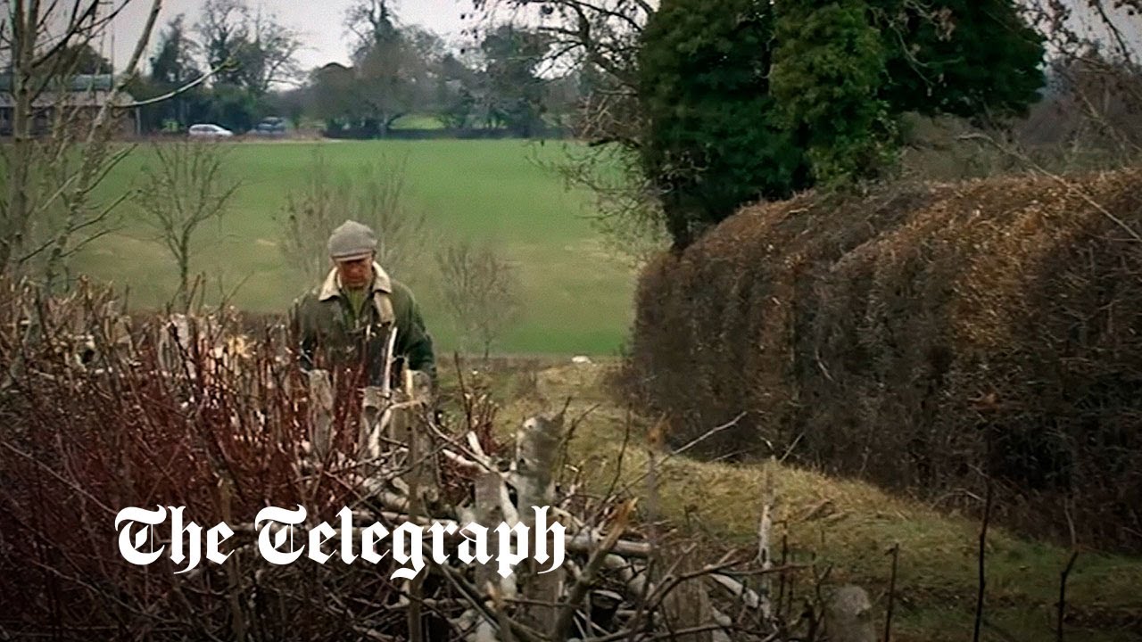 King Charles appears in trailer for new Amazon documentary about the environment