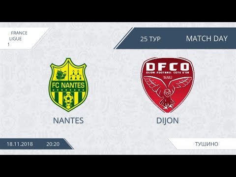 AFL18. France. Ligue 1. Day 25. Nantes - Dijon