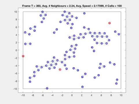 Agent-based model of cell aggregation - spanning phenotype