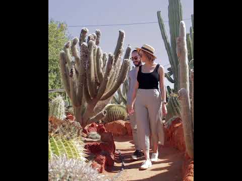 Cactus Garden Carnarvon