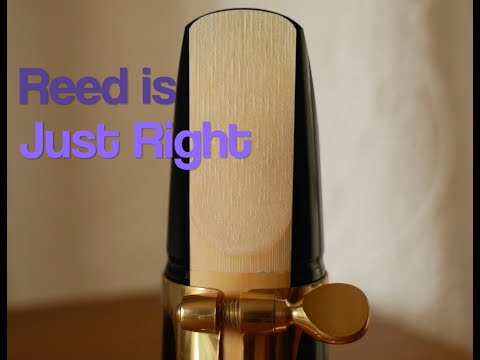 Setting Up Your Clarinet and Sax Reeds and Ligatures For Your Best Sound