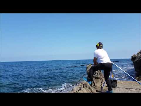 Parassiti alla persona in una bocca Se cè in parassiti di carpa