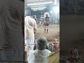 Karakattam Trending Religion Nayak Festivaldance Karakattam