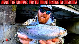 Avoid The Crowds: Cherokee Winter Trout Fishing