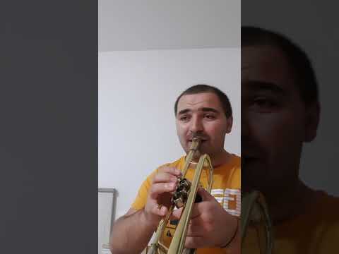 Tutorial Ceardaș-Romario Nesa și Duțu Marian