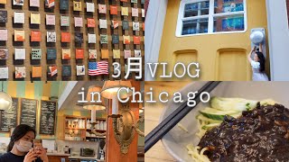 🇺🇸３月VLOGアメリカ留学生活