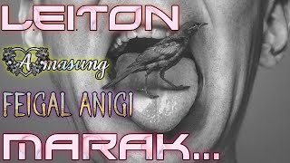 Download lagu Warem-Thourem dagi Hingba HADEESH 1 to 10 mp3 Download lagu Warem-Thourem dagi Hingba HADEESH 1 to 10 mp3