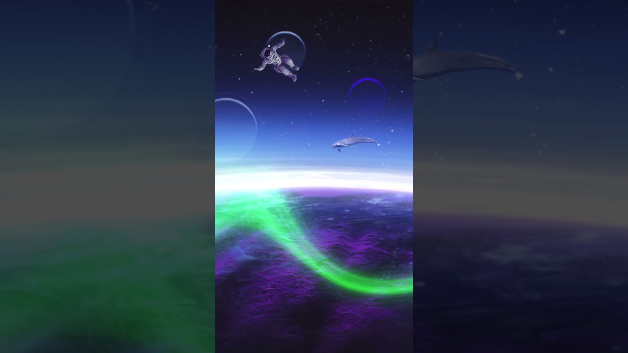 Digital Portfolio 06