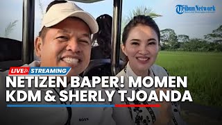 Warganet Baper, Momen Akrab KDM Ajak Gubernur Malut Sherly Tjoanda Keliling Sawah di Subang