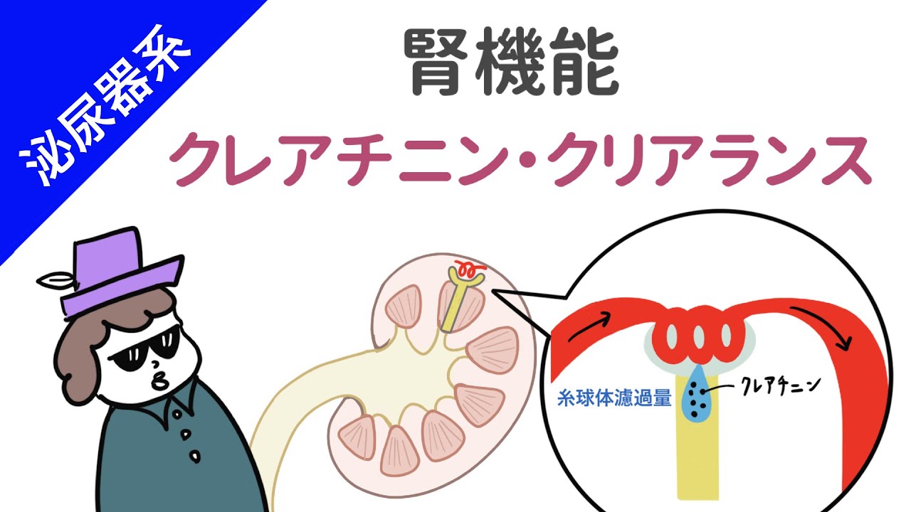 今すぐ見るGfr読み方 Gfr読み方