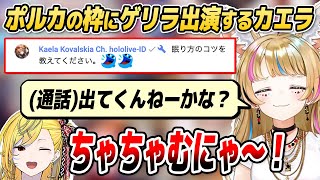ポルカの朝枠にカエラがゲリラ出演!! 睡眠トークで大盛り上がり!?【ホロライブID切り抜き/尾丸ポルカ/カエラ・コヴァルスキア/日本語翻訳】