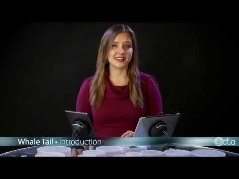 WhaleTail — Introduction