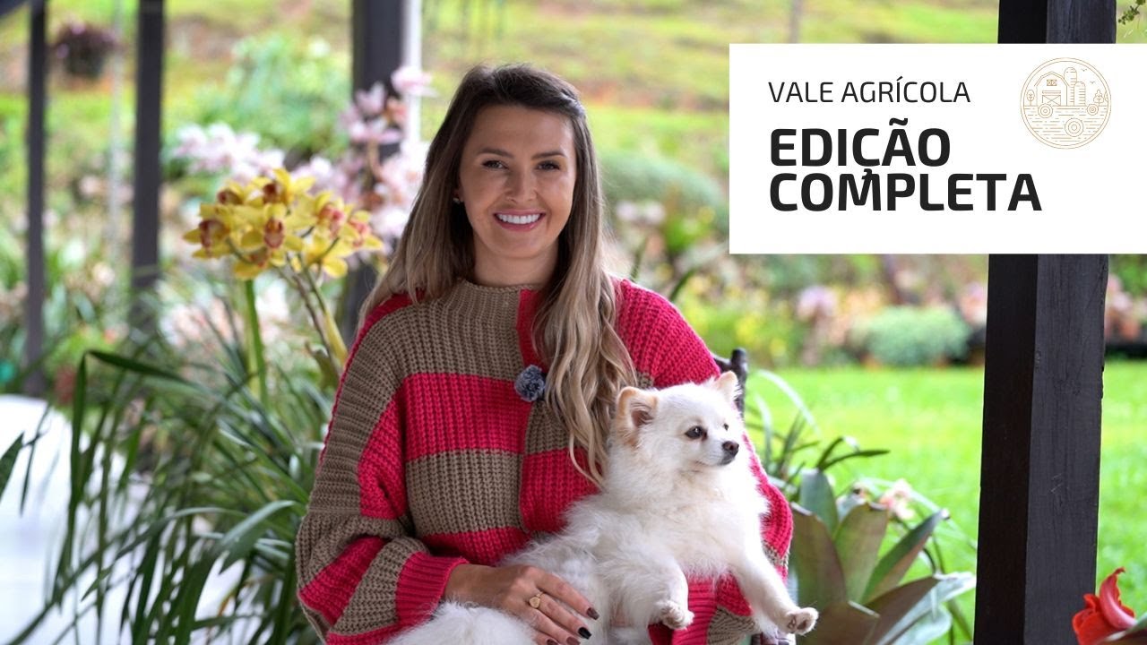 VALE AGRICOLA 338 (12/10/2024)