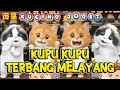 KUPU KUPU TERBANG MELAYANG AFRILIA AMOREZA FT HENDRO ENGKENG VERSI KUCING UNOFFICIAL VIDEO