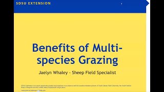 Multi species grazing and targeted grazing with sheep and goats