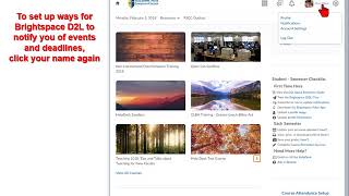 Pellissippi State Brightspace D2L Tutorial - Step 2. Profile and Notifications