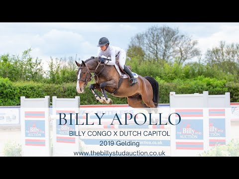 Billy Apollo