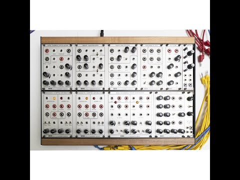 TEST SERIES Random*Source Serge R*S  Eurorack System Sound Design Random Source