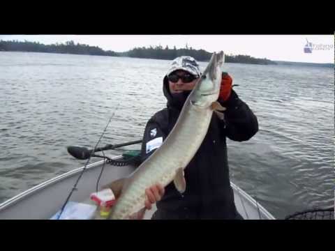 Muskien kalastus Kanadassa