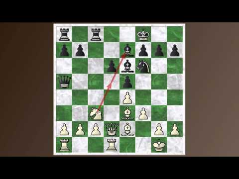 Hou Yifan vs. Mariya Muzychuk - Sicilian defense - Classical variation
