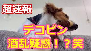 デコピン！酒乱疑惑！？笑