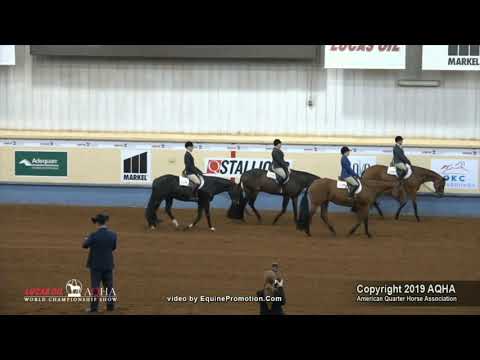 Al Walk The Line 2019 AQHA World Show