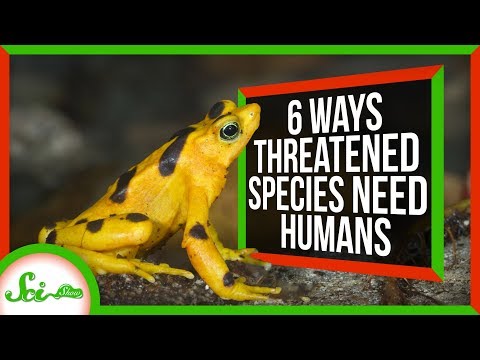 物種依賴人類生存的6種方式 (6 Ways Species Rely on Humans for Survival)
