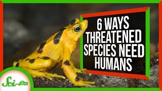 6 Ways Species Rely on Humans for Survival