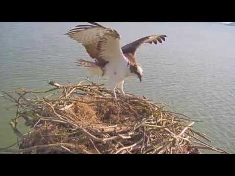 24.03.20 Day's Highlights