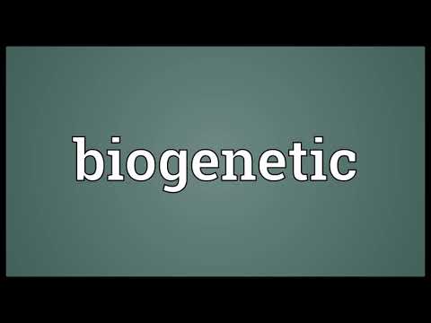 Biogenetic Meaning