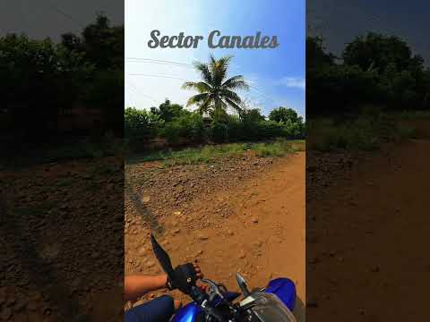 Mi querido Sector Canales Santo Domingo Suchitepéquez..