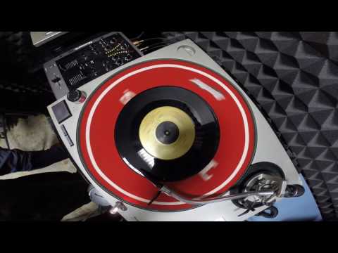 The Grasso Brothers at Basso Profilo Stars on 45 show